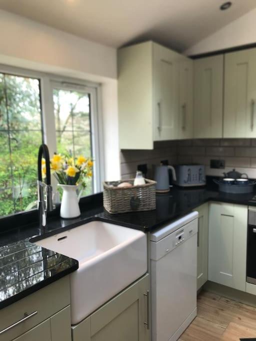 Coombe Edge Cottage Honiton Exteriör bild