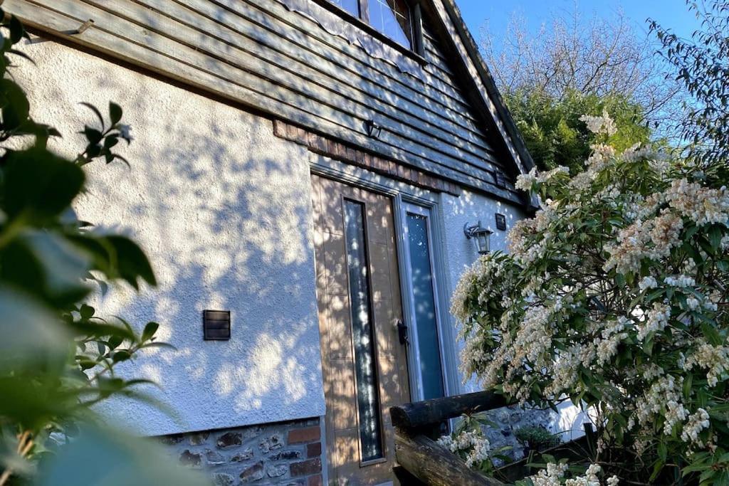 Coombe Edge Cottage Honiton Exteriör bild